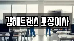 김해트랜스 포장이사