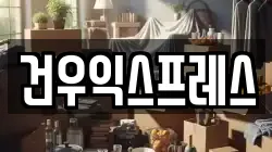 건우익스프레스