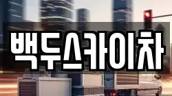 백두스카이차