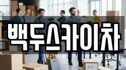 백두스카이차