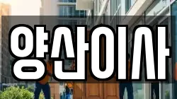 경상남도 양산시 중부동 이사,포장이사,반포장이사,원룸이사,사무실이사,용달이사,전국이사,보관이사