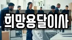 희망용달이사