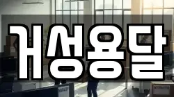 거성용달