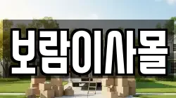 보람이사몰