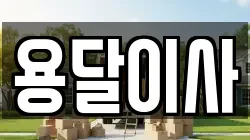 용달이사