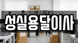 성실용달이사