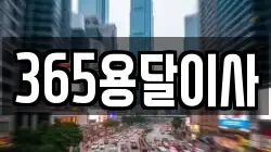 365용달이사
