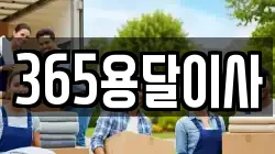365용달이사