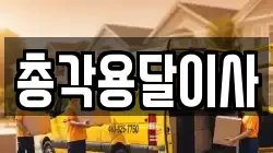 총각용달이사