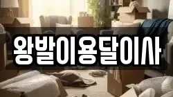 왕발이용달이사