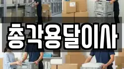 총각용달이사