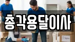 총각용달이사