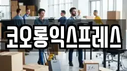 코오롱익스프레스