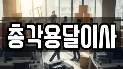 총각용달이사