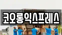 코오롱익스프레스