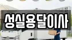 성실용달이사