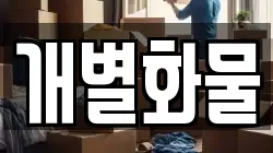 개별화물
