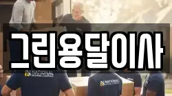 그린용달이사