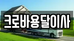크로바용달이사