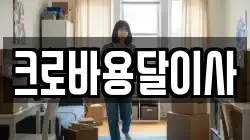 크로바용달이사