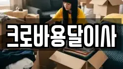 크로바용달이사