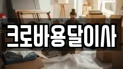 크로바용달이사
