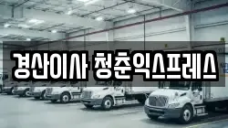 경산이사 청춘익스프레스