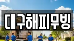 대구해피무빙