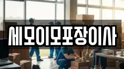 세모이모포장이사