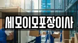 세모이모포장이사