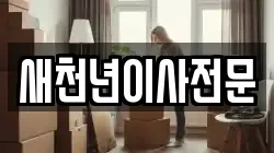 새천년이사전문