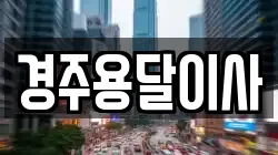 경주용달이사