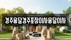 경주용달경주포장이사용달이사