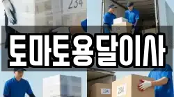 토마토용달이사