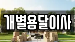 개별용달이사