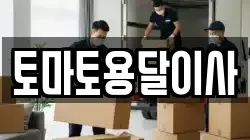 토마토용달이사