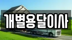 개별용달이사