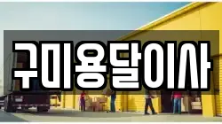 구미용달이사