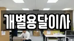 개별용달이사