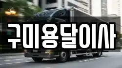 구미용달이사