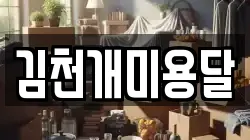 김천개미용달