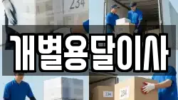 개별용달이사