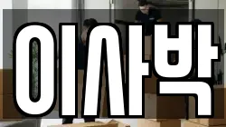 이사박