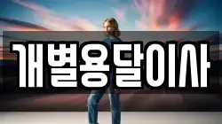 개별용달이사