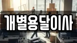 개별용달이사