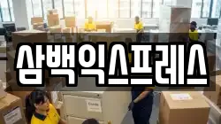 삼백익스프레스
