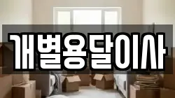 개별용달이사