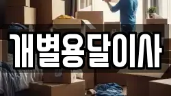 개별용달이사