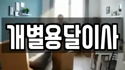 개별용달이사