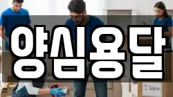 양심용달